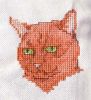 Nom du fichier : RRprintemps chat.jpg
Poids du fichier : 65Ko
Dimensions : 365x400
Ajouté le : Fev 26, 2005 RRprintemps chat.jpg