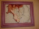 Dsc00575.jpg