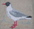 Nom du fichier : ecrue-karine-mouette.jpg
Poids du fichier : 61Ko
Dimensions : 300x253
Ajouté le : Juin 16, 2006 ecrue-karine-mouette.jpg