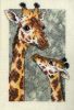 Nom du fichier : girafe.jpg
Poids du fichier : 66Ko
Dimensions : 400x583
Ajouté le : Jan 04, 2007 girafe.jpg